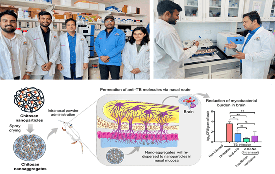 Breakthrough Nasal Drug Delivery System Offers Hope for Brain Tuberculosis Treatment