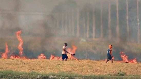 Supreme Court Criticizes Punjab, Haryana for Failing to Curb Stubble Burning as Delhi Chokes on Pollution