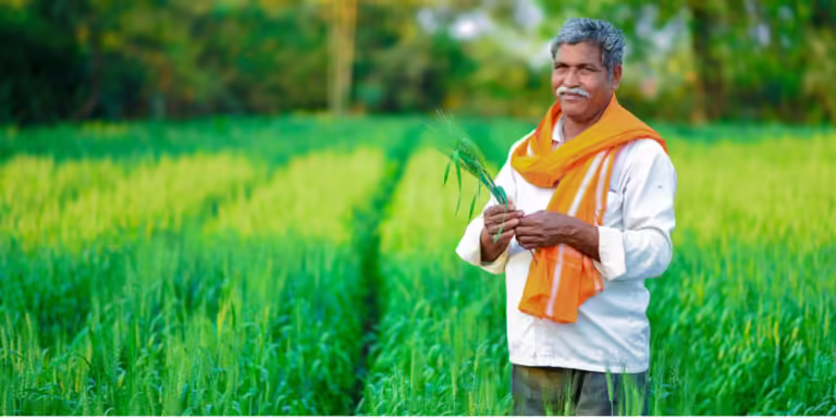 Government Raises Wheat MSP to Boost Farmer Income Amid Upcoming Polls