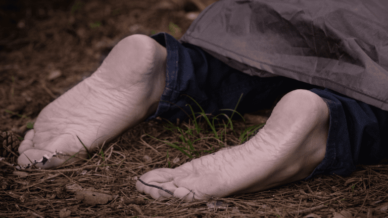 Chilling Crime in Jodhpur: Woman’s Dismembered Body Found, Suspect on the Run