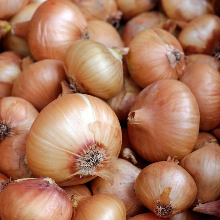 Onion Prices Soar Ahead of Diwali: Retail Rates Hit Rs 80-100 Amid Severe Supply Crunch