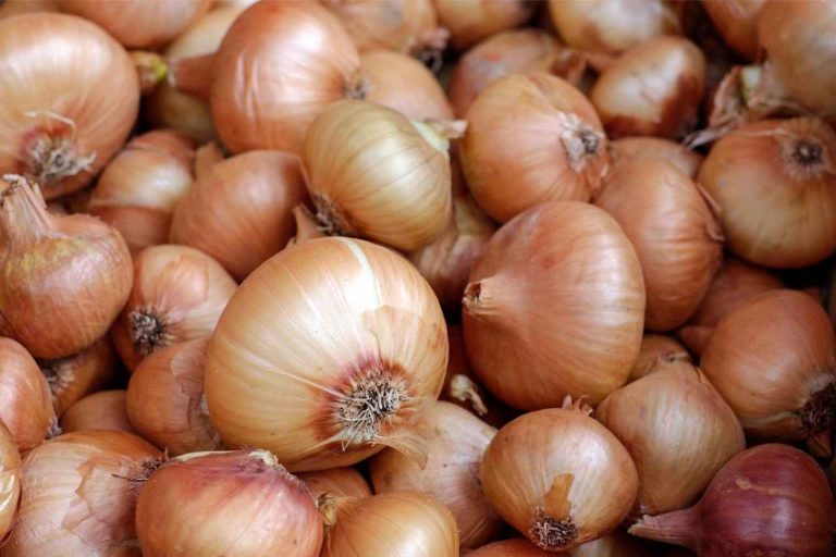 Onion Prices Hit 5-Year High, Soaring to Rs.80 in Delhi and Mumbai