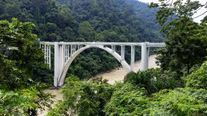 Siliguri coronation bridge