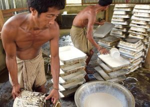 Rubber farmers in tripura