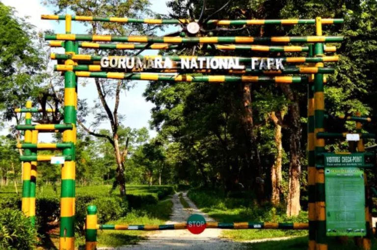 West Bengal Safari: 5 Remarkable Milestones in Wildlife Conservation and Tourism Boom