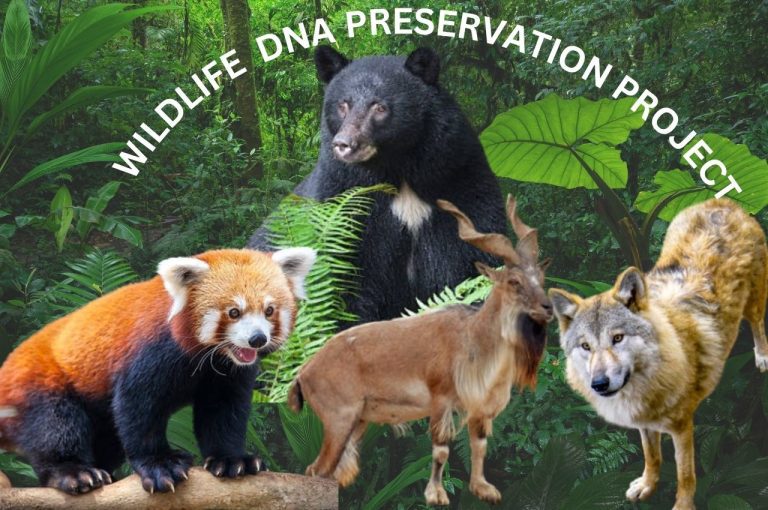 Darjeeling Zoo Launches India’s First Wildlife DNA Preservation Project: 5 Revolutionary Step in Conservation