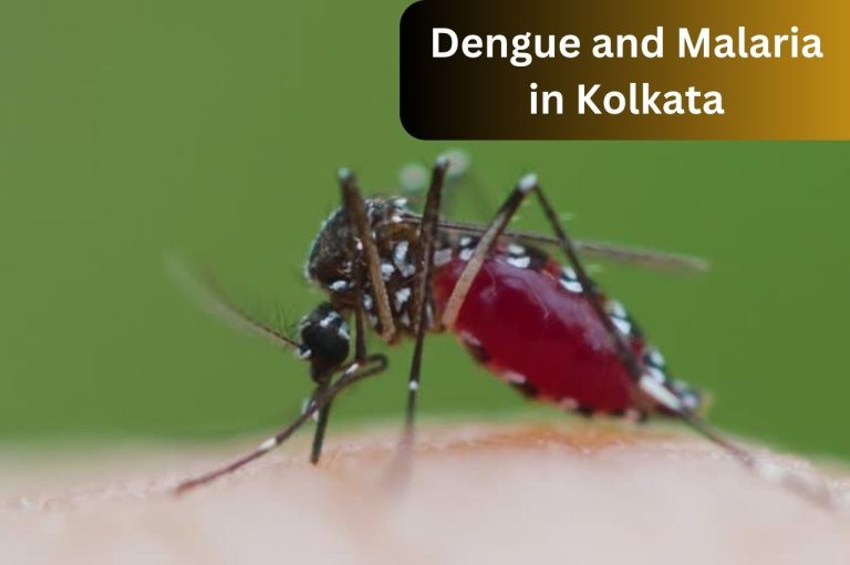 Dengue and Malaria in Kolkata: 7 Critical Actions to Fight This Growing Health Crisis