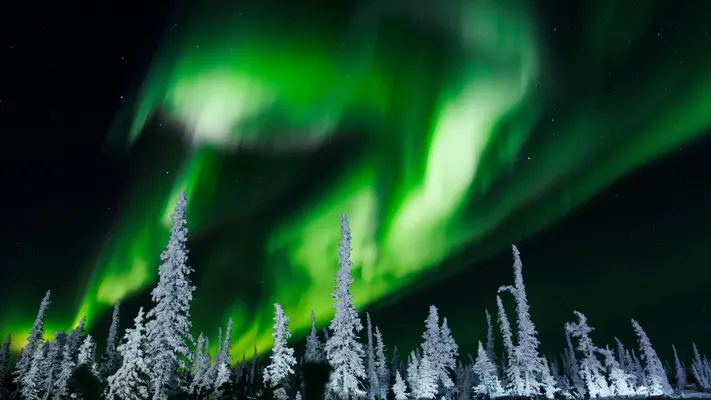 Witness the Northern Lights in 10 U.S. States: Tips and Locations