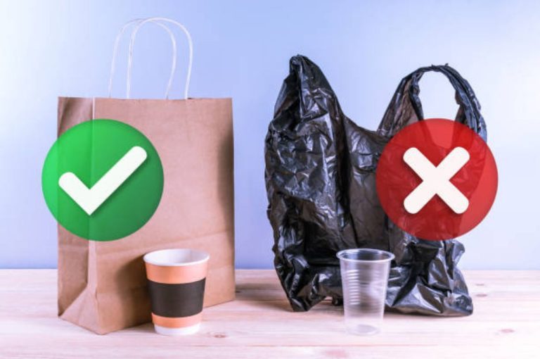 Siliguri Plastic Ban: 7 Powerful Steps to Build a Cleaner, Greener City
