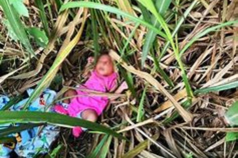 Heartbreaking Rescue: Deserted Baby Girl Found in Basirhat Mango Orchard Sparks Outcry | Child Abandonment in India