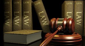 Delhi HC grants bail