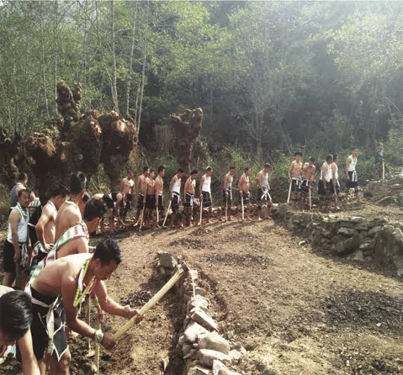 Inside the Remarkable Revival: How Chiechama’s Lida Peli is Reigniting Traditional Farming in Nagaland