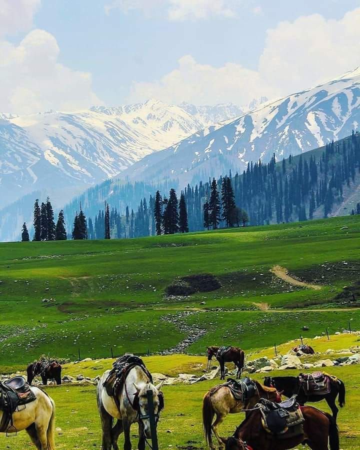 15 charming india destinations for a romantic getaway: perfect retreats for couples