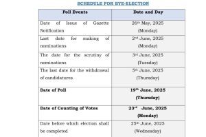 June 19 2025 Bypolls
