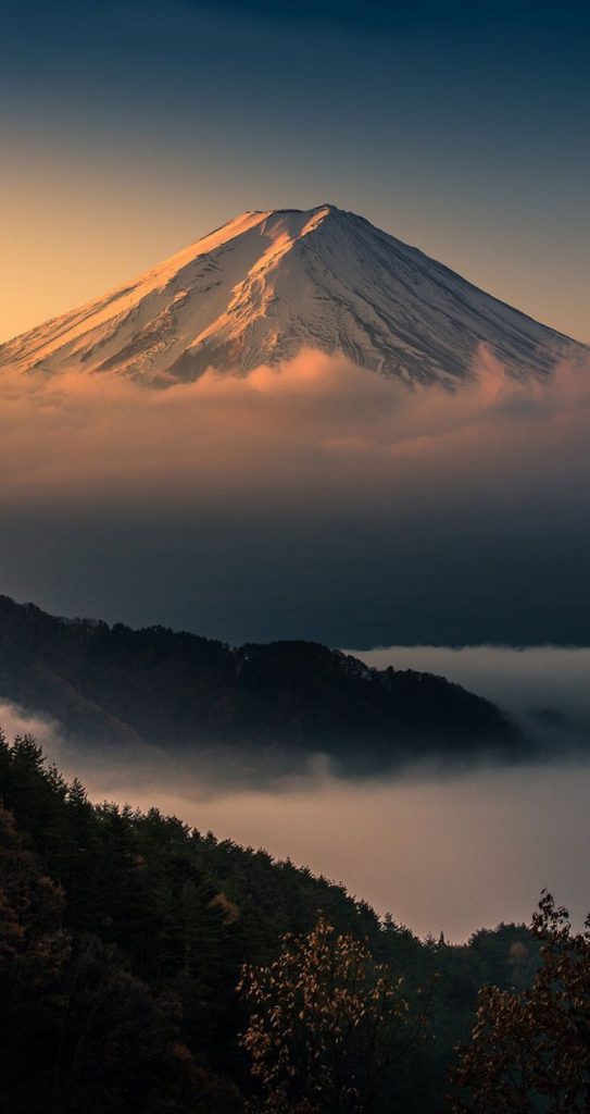 He was rescued from mount fuji. Then he climbed back 1 more time—for his phone