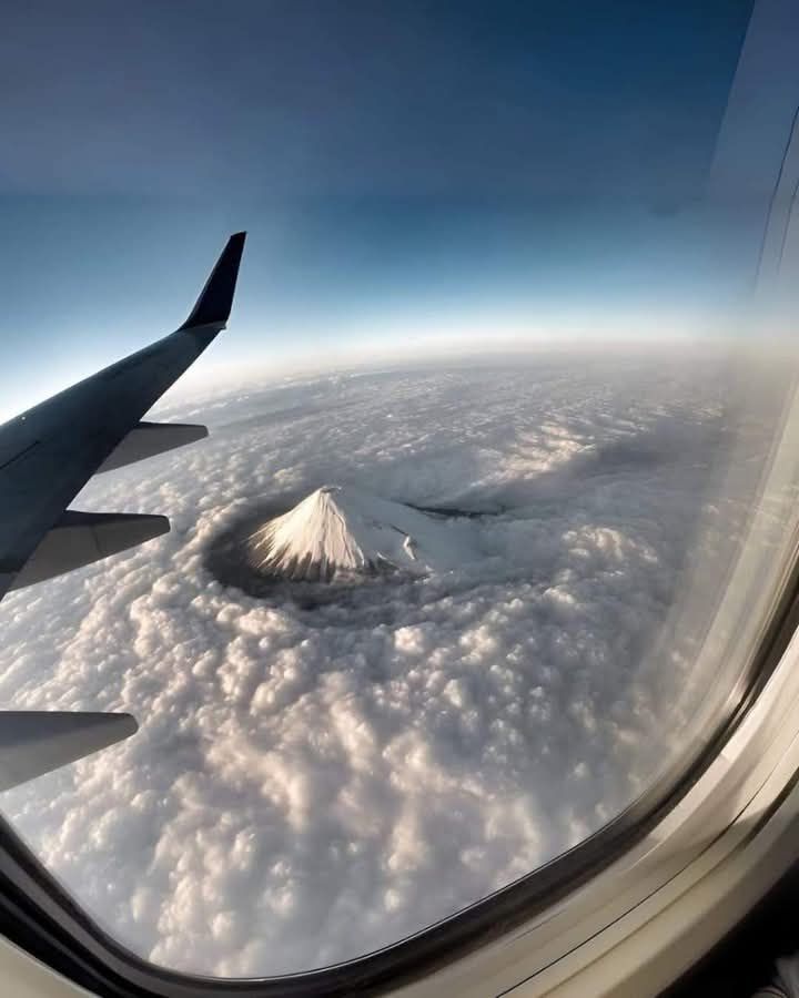 He was rescued from mount fuji. Then he climbed back 1 more time—for his phone