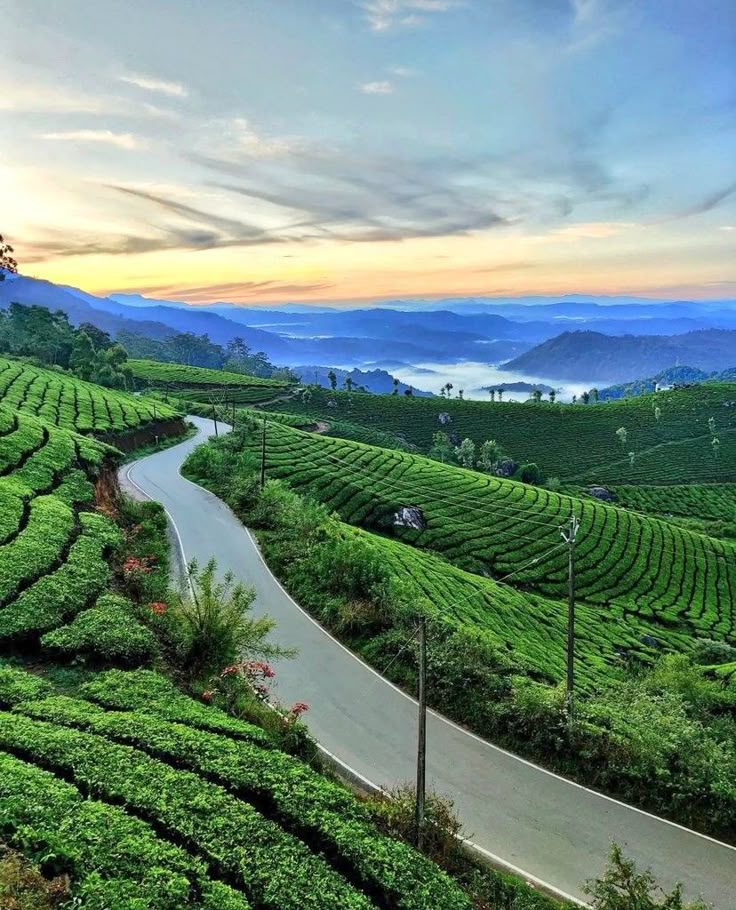 15 charming india destinations for a romantic getaway: perfect retreats for couples