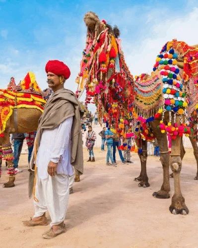 Rajasthan villagers save animals: 690 locals show incredible compassion during extreme heat