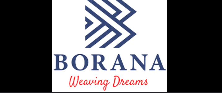 Powerful Reasons Why Borana Weaves’ 2025 IPO Is Creating a Buzz in India’s Textile Market