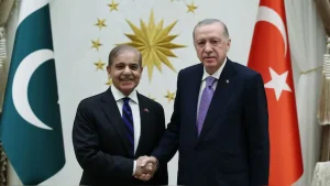 Indians boycott travel to turkey