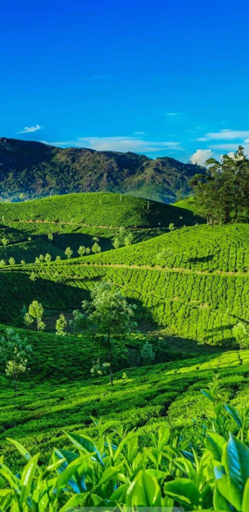 15 charming india destinations for a romantic getaway: perfect retreats for couples