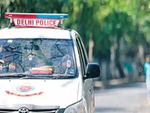 International vehicle theft racket