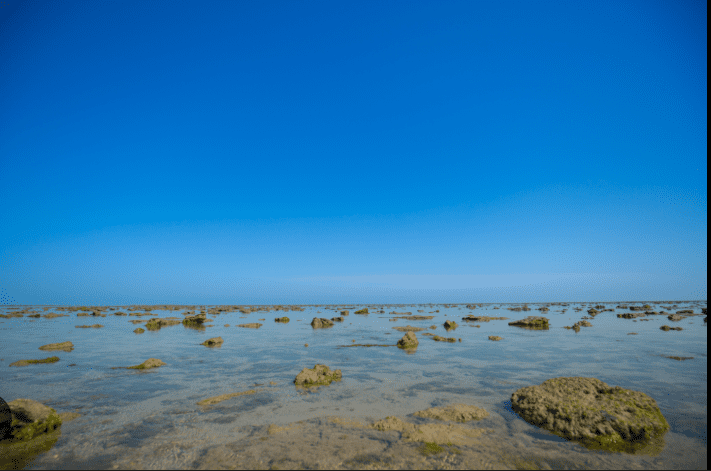 Karnataka’s First Marine Wildlife Sanctuary Nears Reality, Igniting Hope for Ocean Conservation over 5,962 hectares