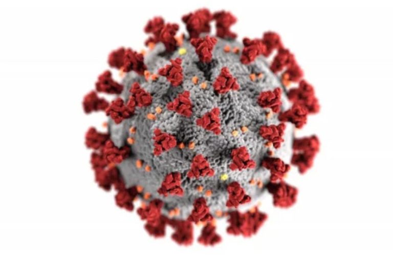 COVID-19 Resurgence in India (June 2025): Rising Cases, Variant Concerns, and Renewed Vigilance  Introduction