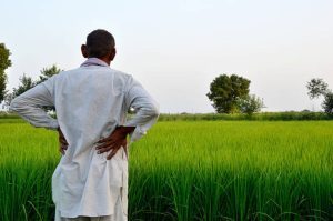 Manipur Farmer Security