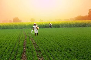 Manipur Farmer Security