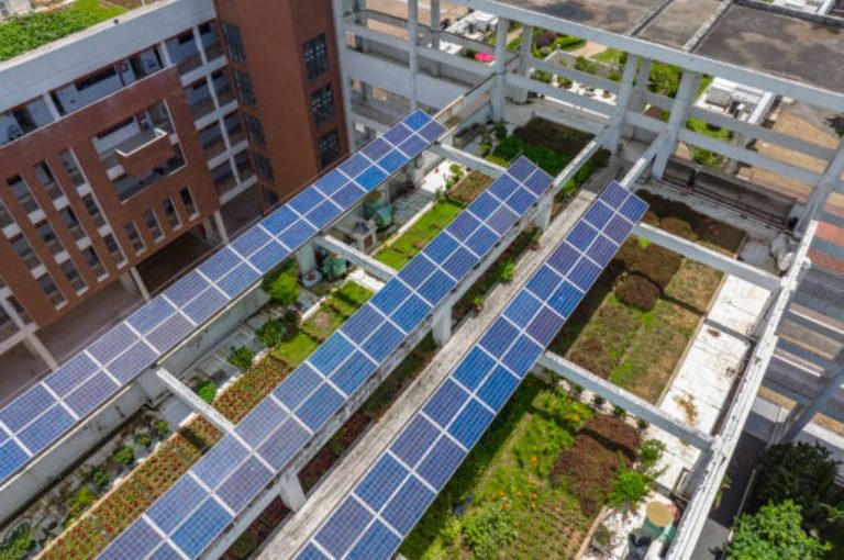 Solar Energy Schools West Bengal: Government Electrifies 1,000 Schools with Green Power