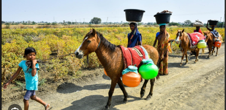 7 Bold Steps and Lingering Challenges: Kalyana Karnataka’s Struggle for Inclusive Growth and Social Justice