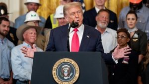 Donald Trump Trade Deal With India