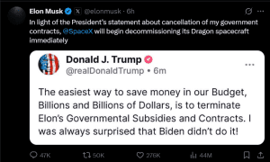 Tesla share price
