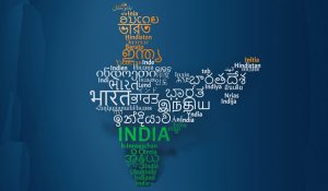 Bharatiya Bhasha Anubhag