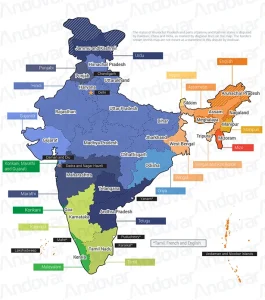 Bharatiya Bhasha Anubhag