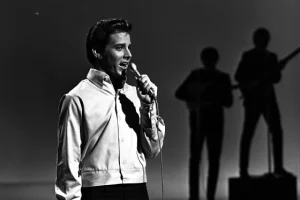 Teen Idol of the 1960s