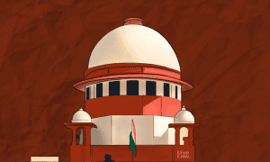 Delhi Dogs Case Hearing