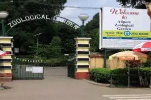 Alipore Zoo Under Scrutiny