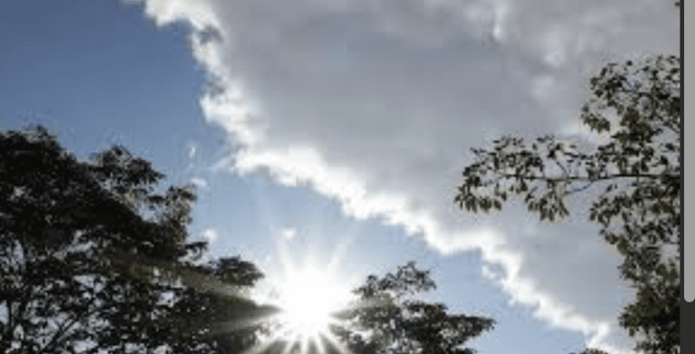 Astonishing and Hopeful Shifts: Telangana Weather in July 2025 Brings Heavy Rains, Storm Alerts, and Monsoon Surprises