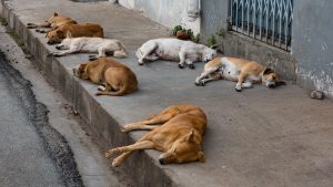 GettyImages 668030048 2400 1200x675 1