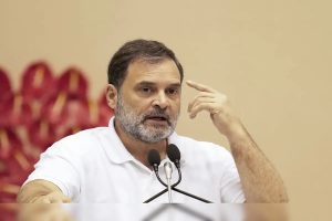 Delhi Dogs Case Hearing