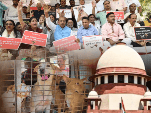 Protest Against SC Dogs Order