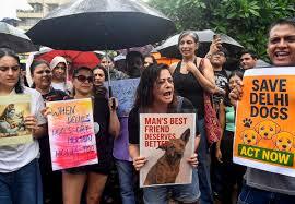 Protest Against SC Dogs Order
