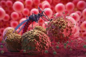 Dengue Cases Rising in Kolkata