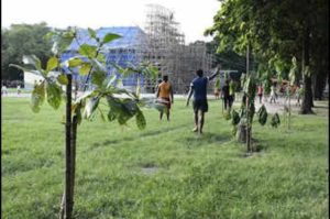 Citizens Adopt 100 Trees