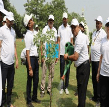 Ministry of Coal Proudly Organizes Plantation Drive ‘Ek Ped Maa Ke Naam’ at Indraprastha Park, Sarai Kale Khan: 2025