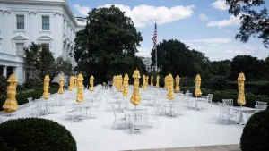 Trump dinner with tech CEOs