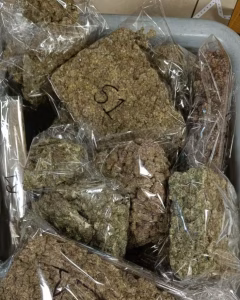 Bangkok weed seizure