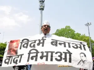 vidarbha